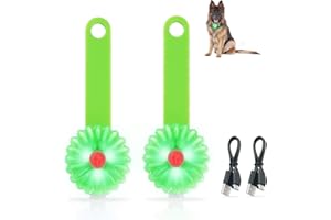 Dokkita Collier Lumineux Rechargeable pour Chien, 2pcs, Lumière Nuit Rechargeable 3 Modes LED, Pendentif Lumineux, Lampe de Sécurité Clignotant pour Chien et Chat