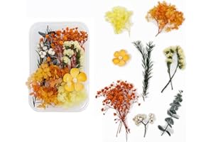 Bmeigo Natural Dried Flowers for Crafts, Pressed Real Flowers Leaves Set Everlasting Flowers Mixed for Floral Decorations DIY Candle Making Resin Jewelry Art Scrapbooking Wedding Gifts(Yellow)