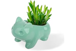 HALF FOREST Macetas Suculentas Rana Macetas De CeráMica Para Suculentas Mini Macetas PequeñAs Creativas De Rana De Dibujos Animados Para Interiores,Escritorios,Cocinas,Patios,DecoracióN Del Hogar(11×7 Cm)