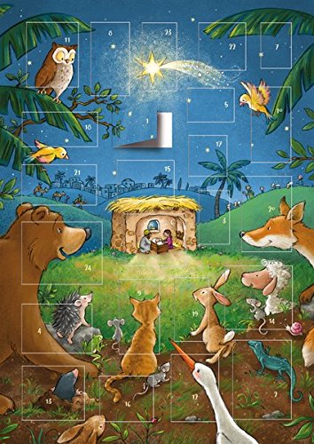 Preisvergleich Produktbild Der magnetische Adventskalender