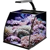 Haqos Belly Box 30 Ledli Nano Akvaryum 16Lt Siyah