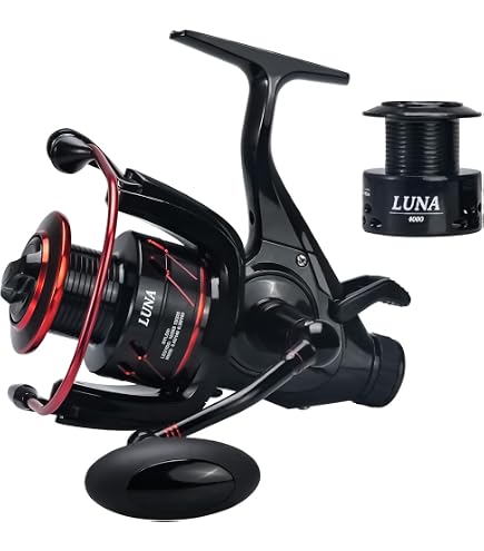 Daiwa 19 Black Widow BR LT 4000-C, Freespool Reel, 10149-400 Sports & Outdoors