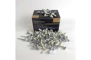 Clous pour Rivet Gun (200)