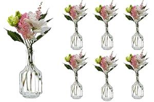 Casavetro - Jarrones pequeños de Cristal HALSI, Botellas de Cristal, Estilo rústico, Vintage, jarrón de Cristal, Transparente, Mini Botellas Decorativas (6,12), 6 Unidades