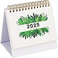 BIGTHREE Standing Flip Desktop Calendar, Small Desk Calendar 2024-2025 for Planning Organizing Daily Scheduler, Small Calendar from July 2024 to Dec 2025 for Home Office School (Plants)