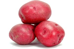 ‎QUAST MEERRETTICH Bio Rote Kartoffeln aus Deutschland | Rote Bio Emmalie | Gourmet Bio Speisekartoffeln in Rot - vorwiegend festkochend (800 g)