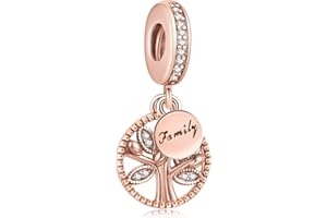 Amuefer Famiglia Charms Argento 925 Mamma nonna Famiglia Amore Cuore Sorella Girasole Capezzolo amici Ciondolo per Collane Compleanno Natale Gioielli Regali per Donne Ragazze
