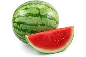 MUMDADANDBABY Watermelon Fragrance Oil - 10ml Bottle - Concentrated for Candles, Soaps, Oil Burners, Wax Melts and Fragrance Sprays