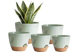 Shinybox 5 Piezas Maceta de Interior con Drenaje, 17.8/16.5/15.2/13.9/12.7cm Macetas de Auto-Riego, Macetas de Plástico con Asa, Macetas de con Forma de Flor para Interior para Decoración(Verde)