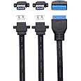 QiCheng&LYS USB 3.0 Motherboard Super High Speed 5Gbps 19 Pin Female Adapter to 2 USB 3.0 Female