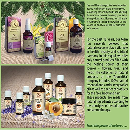 Nägelöl, Nagelpflege mit naturreinem 100 % Zitronenöl, Ylang-Ylang-Öl, Jojobaöl und Traubenkernöl, Nägel Öl für trockene und brüchige Nägel, Nagelwachstum, Nagelstärkung, Nagelelastizität, Nagelhaut-Öl, toller Duft, Glas-Pinselflasche, 10 ml, 1er Pack (1 x 10 ml) von AROMATIKA - 6