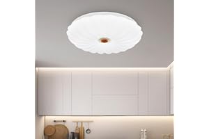 VIPMOON 12W Ceiling Lights, Flush Mount Ceiling Light for Bathroom Bedroom Kitchen Porch Hallway, 1080LM 6500K Small Daylight White Shell Lighting, 60W Equivalent