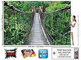 nuevo puente colgante en suiza Empaque seguro. Tambien recibira un poster XXL de New York skyline (16.53 x 47.24 Inch / 42 x 120 cm) de alta calidad. Ideal para regalo o decoración.