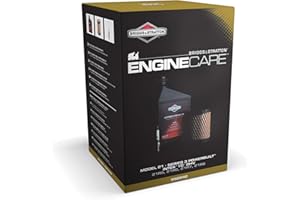 Briggs & Stratton kit d'entretien moteur Model 21, Series 3 Powerbuilt, Intek I/C OHV, 21R5, 21R6, 21R7, 21R8, Multicolore