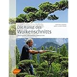 Die Kunst des Wolkenschnitts: Verstehen, erlernen, umsetzen