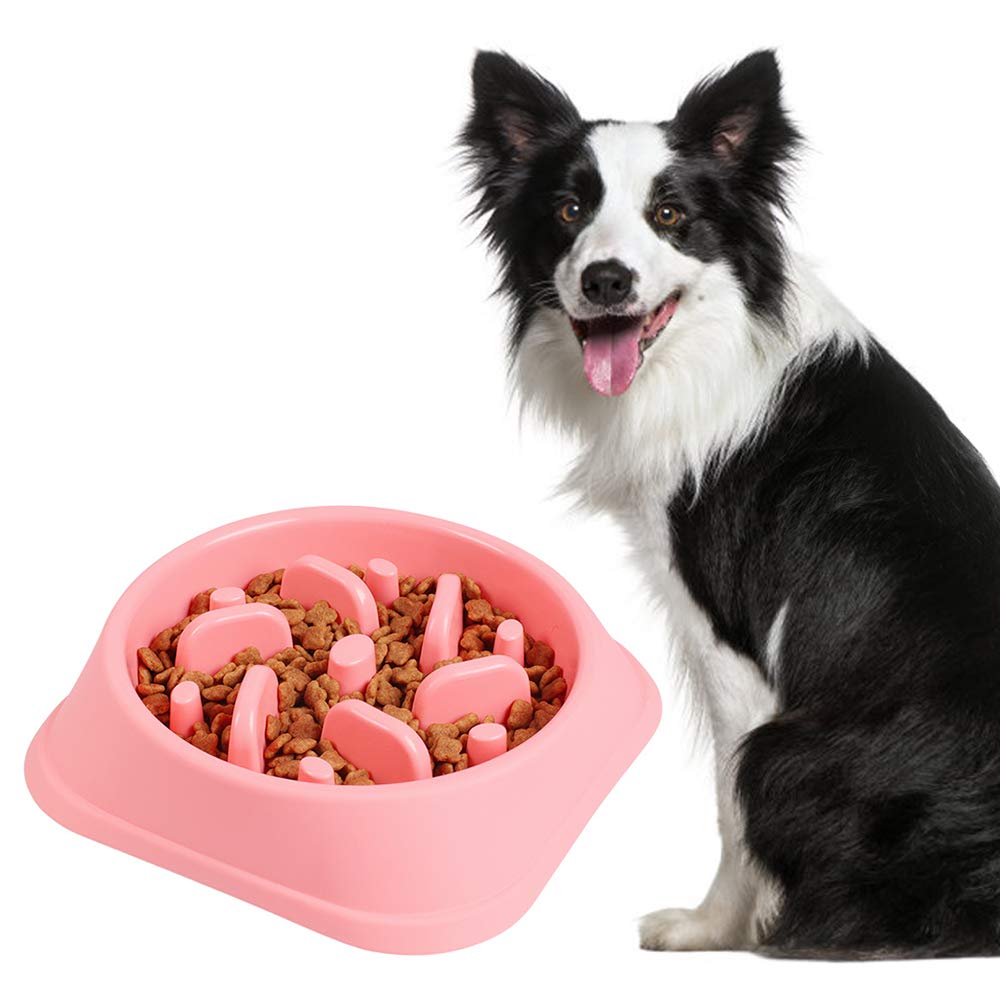 dog bowl to stop gulping