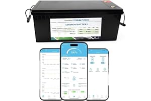 KCVOLRO Kcvolo - Batería de litio LiFePO4 Bluetooth de 24 V, 100 Ah, integrada en 100 A BMS, batería recargable de 8000 + ciclos, máx. 2560 W de potencia de carga, perfecta para RV/Sampler, Solar, Marina,