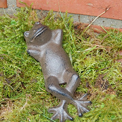 Frosch liegend, klein, braun