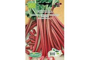 Germisem Orgánica Victoria Ruibarbo 10 Semillas, ECBIO5028
