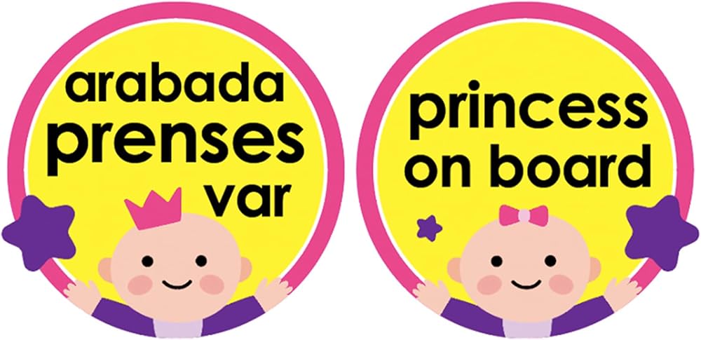 Babyjem Art-094 Vakumlu Araba Cam Yazısı Pembe Pembe 8699203310942