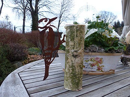 Vogel Buntspecht (Rostdeko) - 3