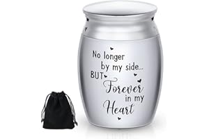 HOTOP Urna de Cremación Conmemorativa de Acero Inoxidable - Porta Cenizas Mini de Metal para Mascota y Humana - No Longer by My Side, but Forever in My Heart