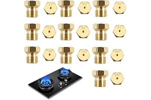10 Pcs