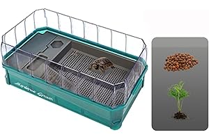 xixibuy Terrario Reptiles, Terrario Plantas, Terrario Insectos, Terrario Tortugas de Tierra, Caja de alimentación para Reptiles, Transparente(Plástica-34.5 * 18 * 18cm)