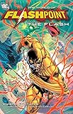Flashpoint: The World of Flashpoint Featuring The Flash by Sean Ryan, Ig Guara