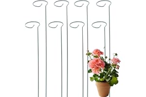 CCCYMM 8 Pcs 16 Inch Plant Stakes for Flowers, Metal Single Stem Plant Support, Garden Plant Stakes for Amaryllis Orchid Lily Rose Tomatoes Dark Green