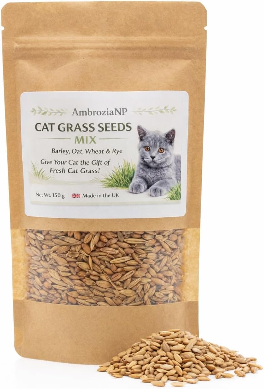 Cat Grass Seeds 150g – Grow Fresh Cat Grass – Natural Indoor Cat Grass – Easy to Grow – Made in UK (Mix)
