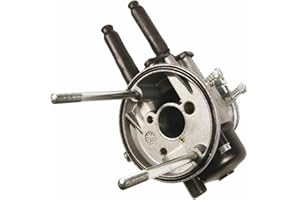 Vergaser MALOSSI SHBC 19.19 für Ape 50 Mix
