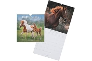 DRAEGER Paris | Kalendarz ścienny dekoracyjny konie 2023 do zawieszenia 29 x 29 cm | 16 miesięcy siedem 22-dec 23| 7 języków | Kalendarz biurowy, kuchnia, dom miesięczny | Atramenty roślinne | Papier