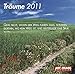 Träume 2011 by 