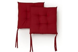 PARAMAISON Cuscini Sedia con Lacci Giunk, Set da 2 pezzi Quadro, Imbottito, Interni od Esterni, Non Sfoderabile, 40x40 cm, Vari Colori