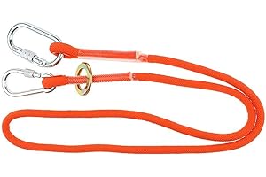 YUNDXI Fallschutz Absturzsicherung Sicherheitsseil mit Karabiner für Ingenieurwesen Schutz Außenkonstruktion Luftarbeiten mit CE-zertifiziert (3m, C-Stil)