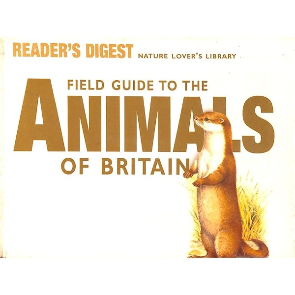 Field Guide to the Wild Flowers of Britain : Reader's Digest