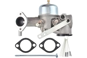 ZAMDOE 491590 Vergaser für Briggs & Stratton 390811 392152 Carb Fit 190701 191700 190702 192700 190705 190706-2179 190707 193700 Serie Motor mit Dichtung