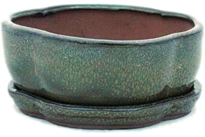 EXOTENHERZ Bonsaï Bol avec sous assiette Taille 1 – Vert Olive/marron – haitang/ovale – Modèle i5 – L 12 cm – B 9,5 cm – H 4,5 cm