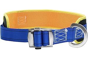 Aoneky Ceinture de Sécurité Anti-Chute Réglable 73-119cm, Charge Max 200KG- Ceinture de Maintien Lombaire avec Anneau en D pour Travail en Hauteur, Alpinisme, Escalade, élagage, Bricolage(Bleu)