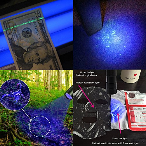 Kungix UV Taschenlampe mit 12 LEDs , Haustiere Urin-Detektor für eingetrocknete Flecken Ihrer Hunde, Katzen und Nagetiere auf Teppichen, Vorhänge, Gardinen, Möbel und anderen Stoffen, Hund usw 3xAAA-Batterien inkl - 5