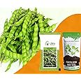 Pigeon Pea for Planting | Home | Garden | Farming | Vegetable | Kitchen | Hybrid | Terrace | Balcony | Eating | Guandules | Tur Fali | Tuver Sing | Tuvar Beans - 25 Gram : 173 Seed