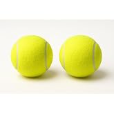 Busstier 2'li K&ouml;pek Oyun Topu 7.5 cm Orta Boy Premium Kalite Tenis Topu, Eğitim ve Oyun Ama&ccedil;lı, Dayanıklı Evcil Hayvan Oyunca