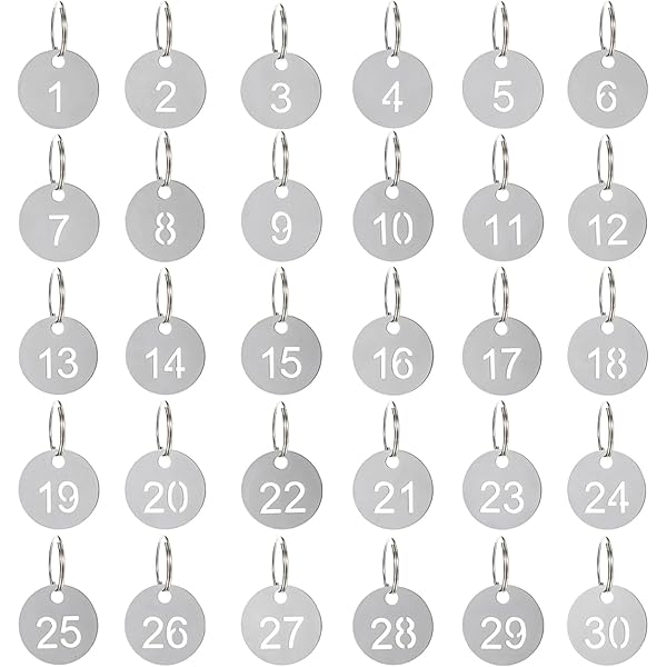 OFFCUP Gegraveerde nummerborden, 100 stuks genummerde tags, kunststof nummerborden, sleutelhangers, bijenstok-etiketten met gat, veestapel, ID-tags (zwart nummer 1-100 OFFCUP Gegraveerde nummerborden, 100 stuks genummerde tags, kunststof nummerborden, sleutelhangers, bijenstok-etiketten met gat, veestapel, ID-tags (zwart nummer 1-100