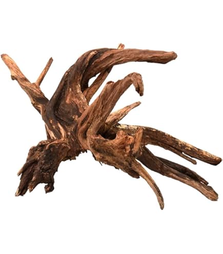 Exo Terra Legno Della Foresta Medium 45 Cm - Per Terrari E Habitat Per Rettili, Naturale E Resistente - Foto 2