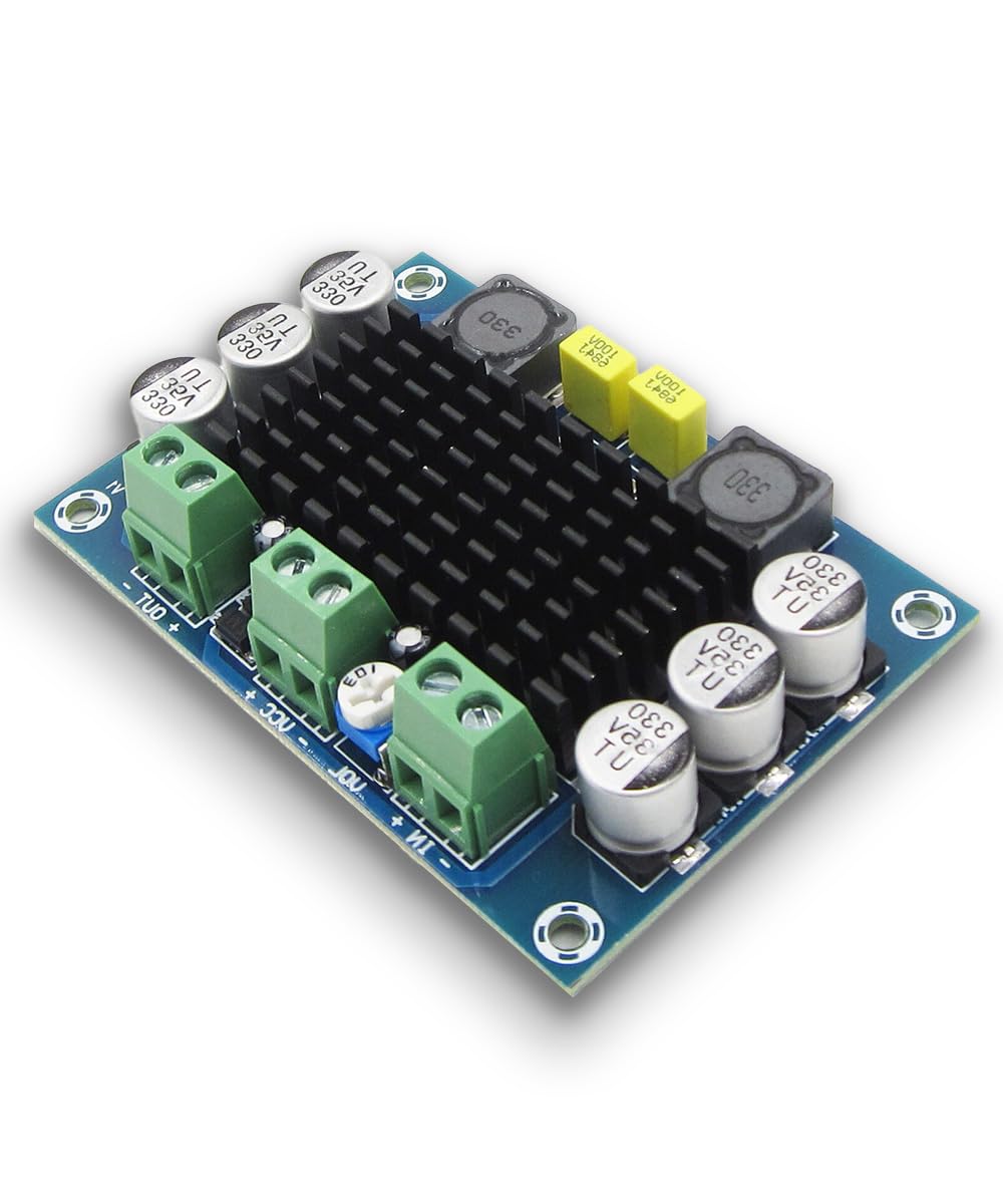 Comprehensive Review of EZPHYSIKX TPA3116 100W Class D Audio Module