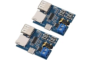Heevhas 2PCS Mp3 Décodeurs sans perte Amplificateur de puissance de décodage Lecteur mp3 Module audio Carte décodeur Mp3 USB TYPE-C Prise en charge de la carte TF Alimentation 5V