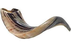 JUDAICA MEGA MALL 12"- 14" Moyenne Casher Inodore Stérile Ram Horn Poli Shofar & Soufflant Guide