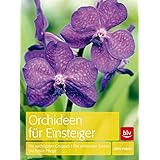 Orchideen für Einsteiger: Die wichtigsten Gruppen · Die schönsten Sorten · Die beste Pflege