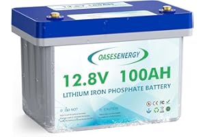 Oasesenergy Batterie LiFePO4 12V 100Ah Cycle Profond, Batteries Lithium-Fer-Phosphate Rechargeable, BMS 100A Intégré,15000 Cycles pour Caravanes, Camping-Cars, Maison Solaire, Hors-Réseau,Bateaux